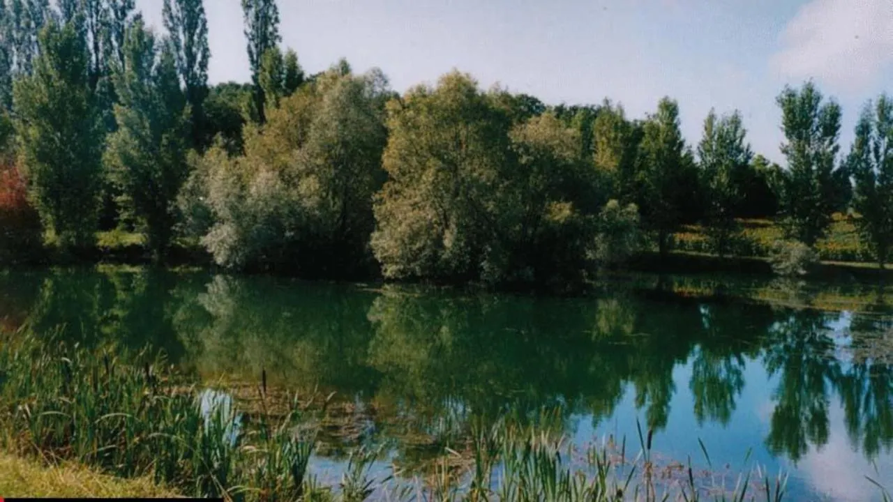 La Decouverte, Jacuzzi, Sauna, Et Terrasse Avec Vue Sur Lac A La Campagne Entre Toulouse Et Auch Catonvielle Holiday home