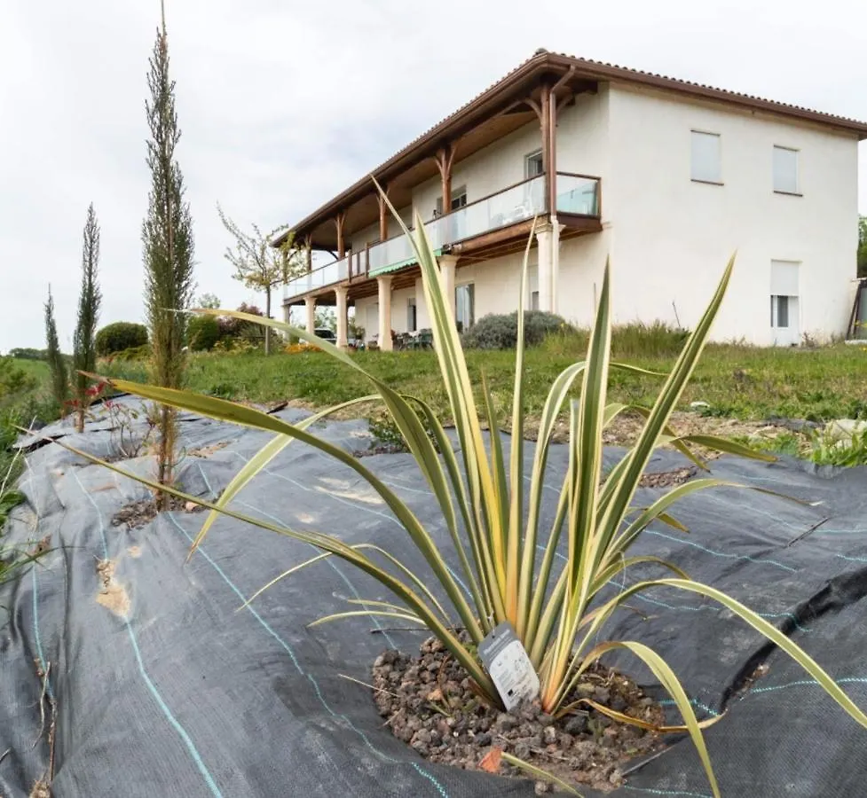 La Decouverte, Jacuzzi, Sauna, Et Terrasse Avec Vue Sur Lac A La Campagne Entre Toulouse Et Auch Catonvielle 0*,